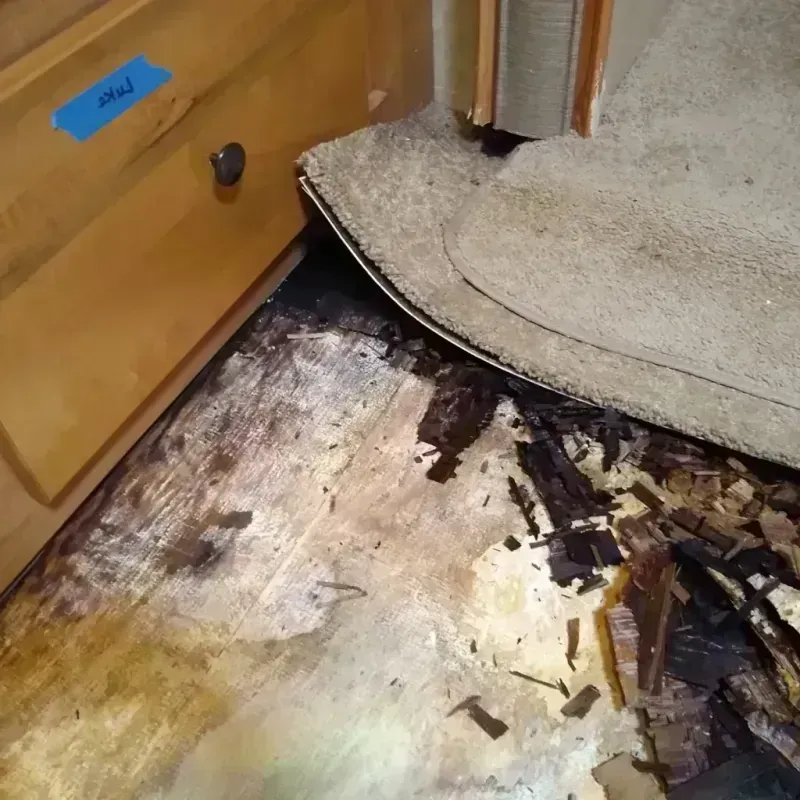 Wood Floor Water Damage in Bulverde, TX